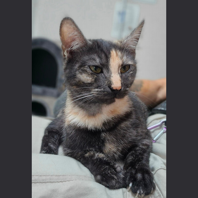 Photo of Miss Pink (0197)