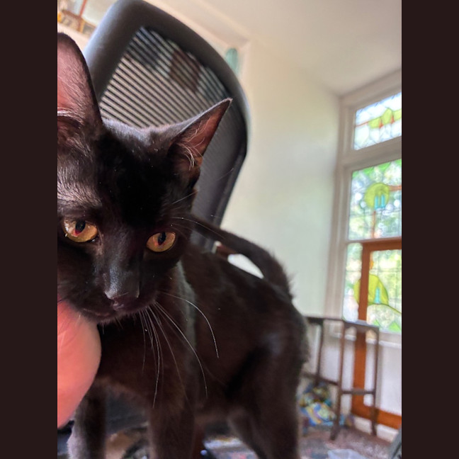 Photo of Griselda