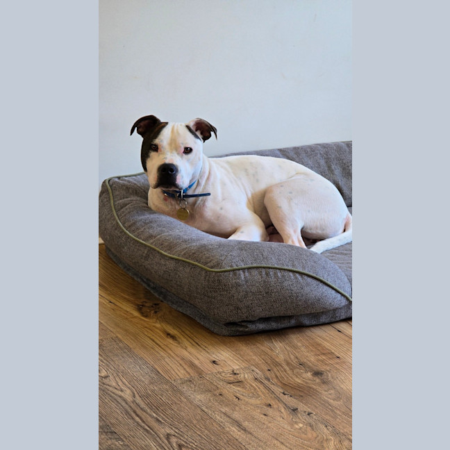 Photo of Frank Costanza