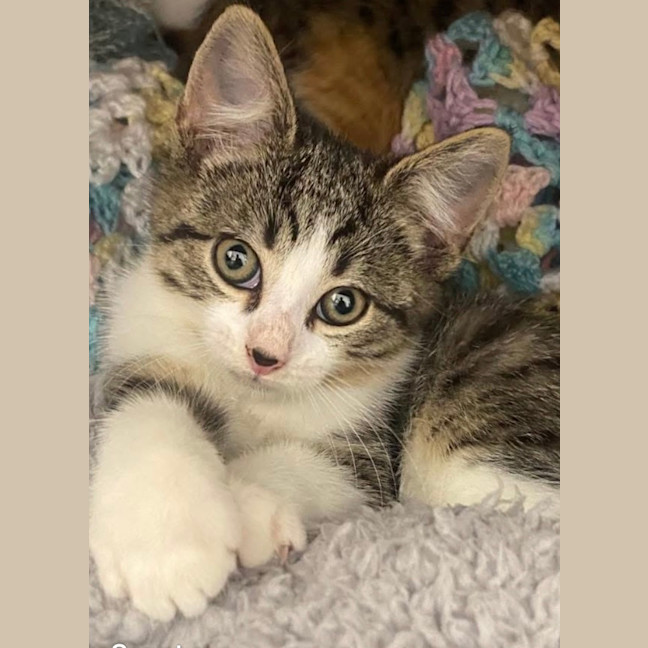 Photo of Zeus 