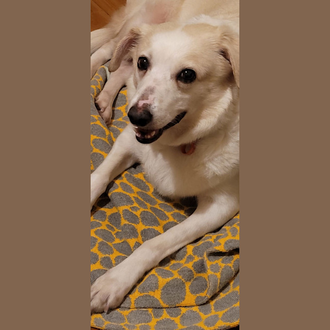 Photo of Possum 💜