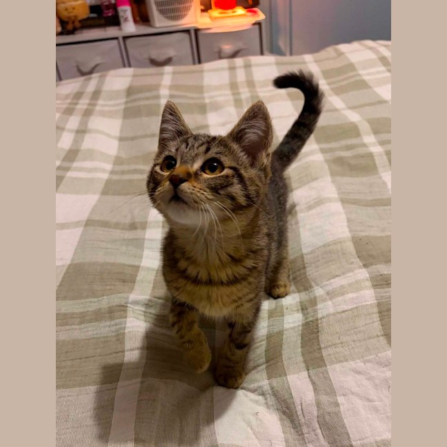 Photo of Maurice