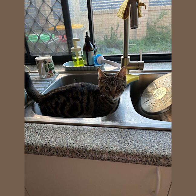 Photo of Zeke