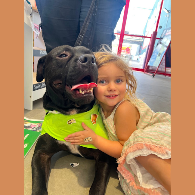 Photo of Huckleberry 