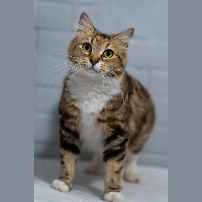 Photo of Mabel