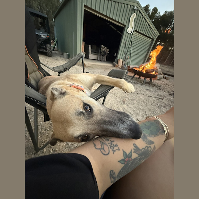 Photo of Xena