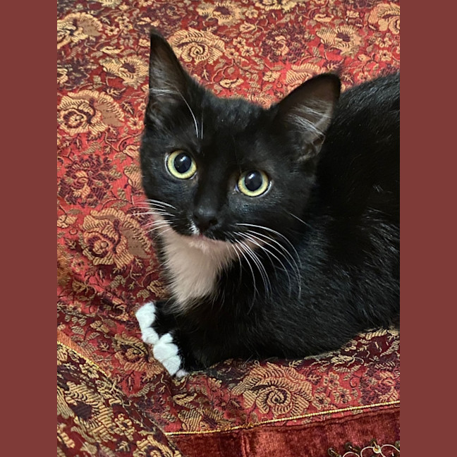 Photo of Zuko & Azula