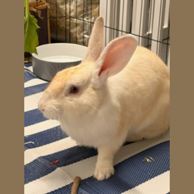 Photo of Victor