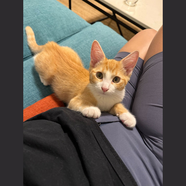 Photo of Marvin