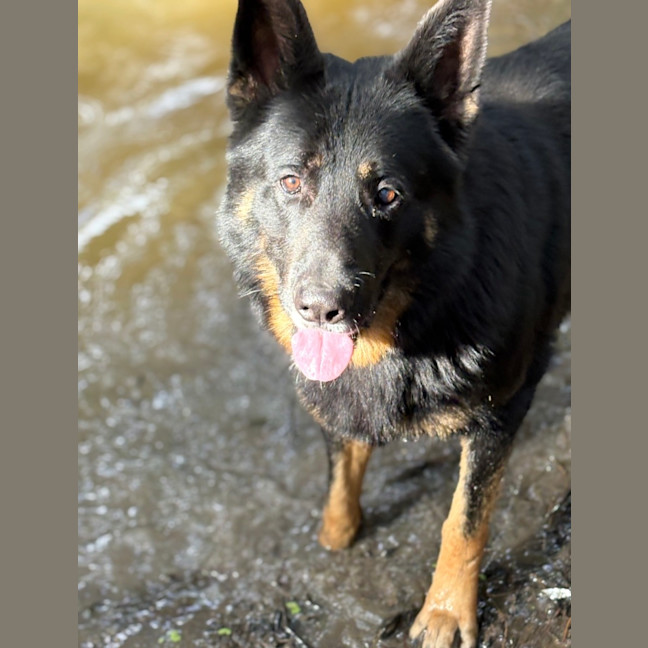 Photo of Max