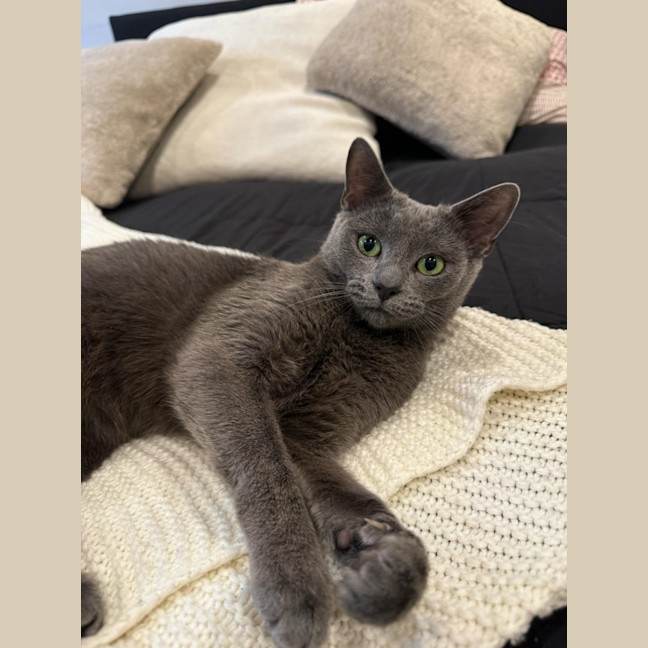 Photo of Cora