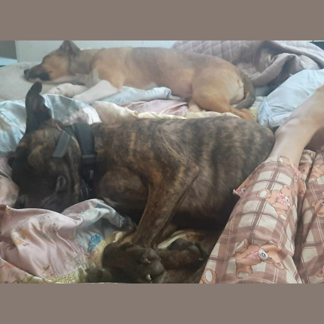 Photo of Scoobie 