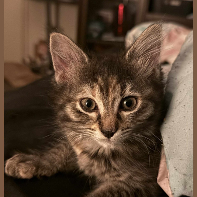 Photo of Francesca Moo