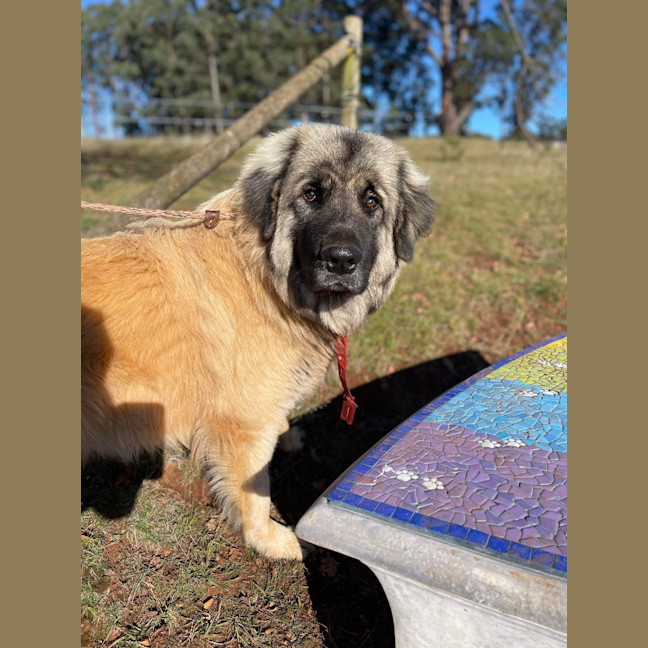 Photo of Hercules