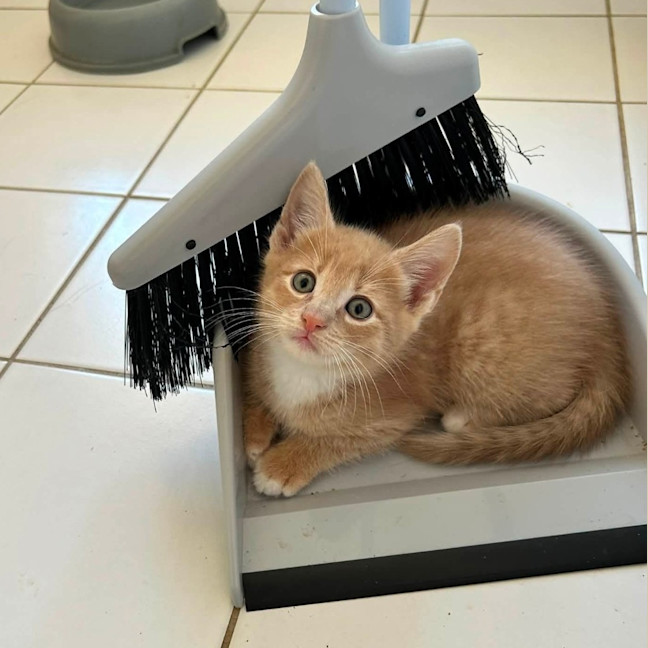 Photo of Crunchy