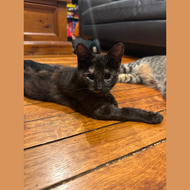 Photo of Penelope