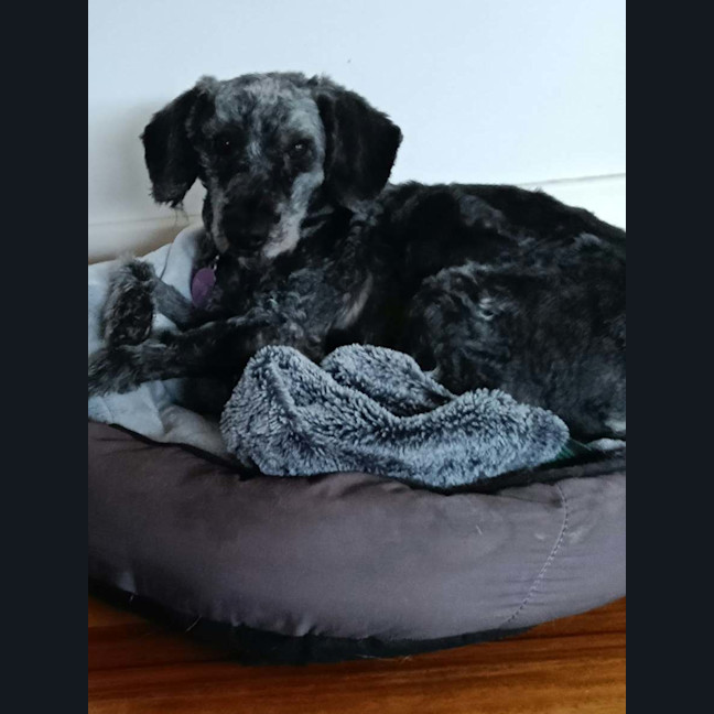 Photo of Wanda