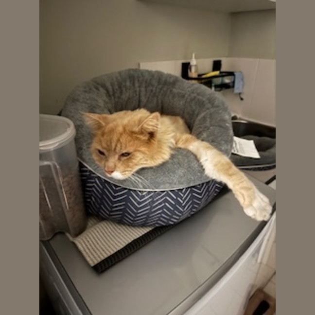 Photo of Eddie & Beryl