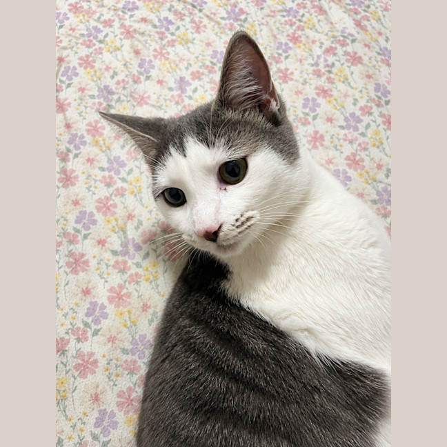 Photo of Annie