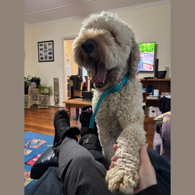 Photo of Charlie
