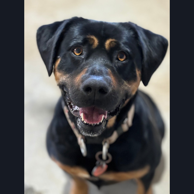Photo of Molly