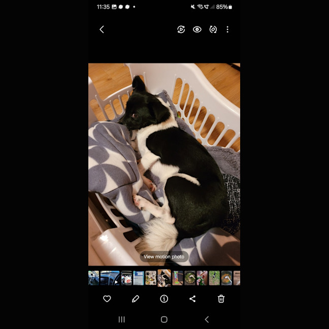 Photo of Billy