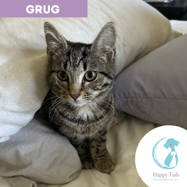 Photo of Grug