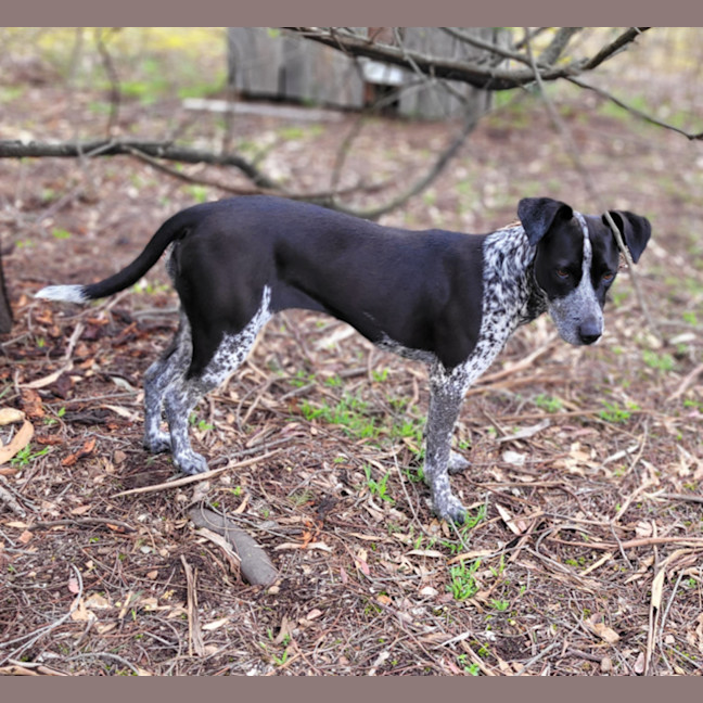 Photo of Tovah
