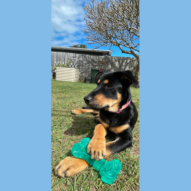 Photo of Bonnie