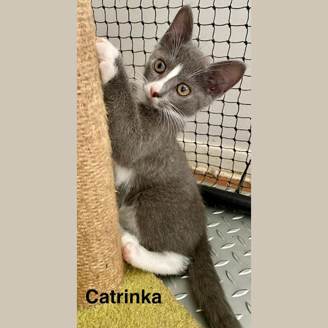 Photo of Catrinka