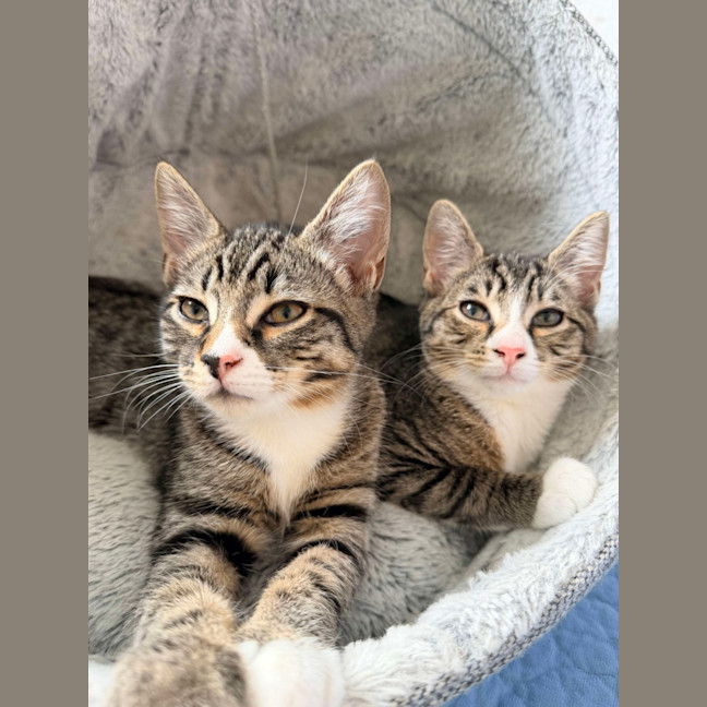 Photo of Gary & Harriet 