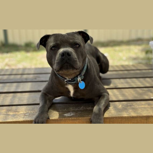 Photo of Zeus
