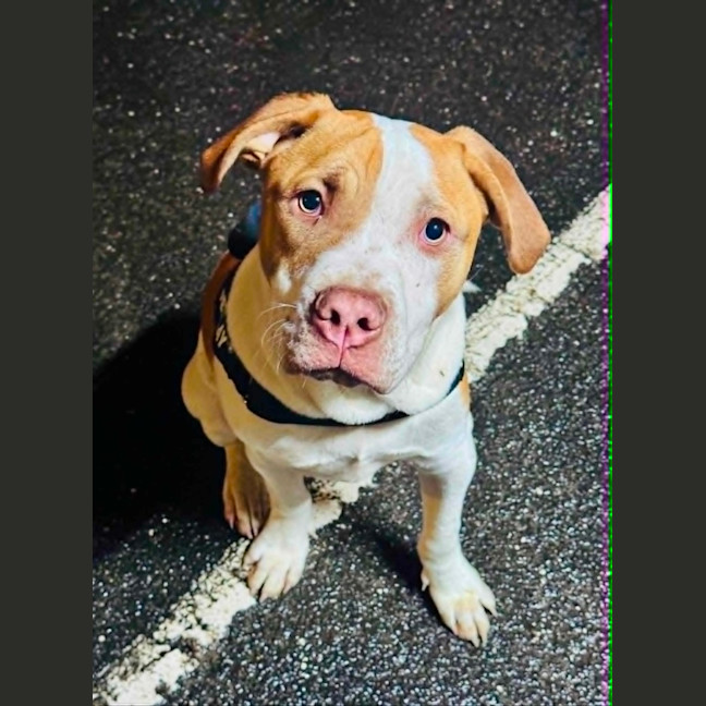 Photo of Ernie