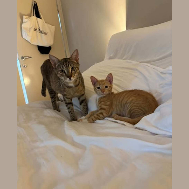 Photo of Mumma Bee And Baby Ember