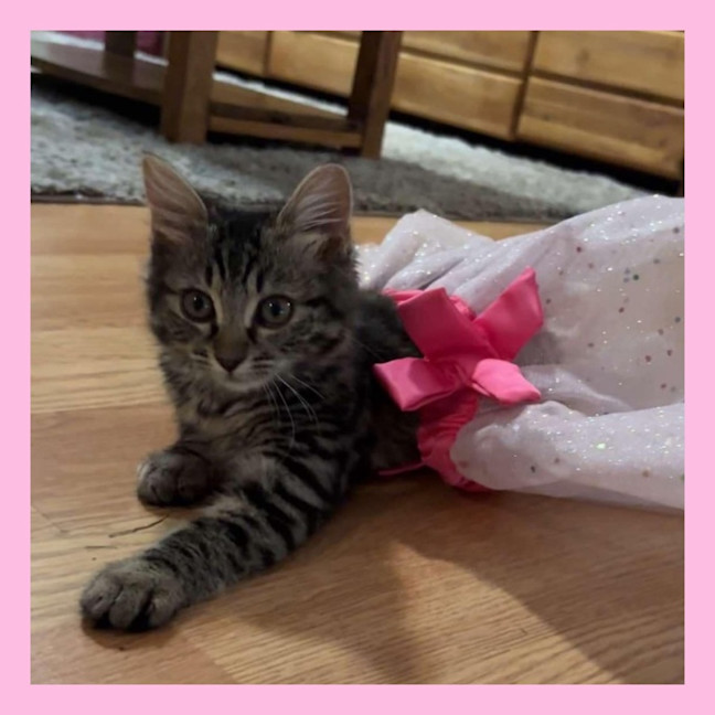 Photo of Pocket