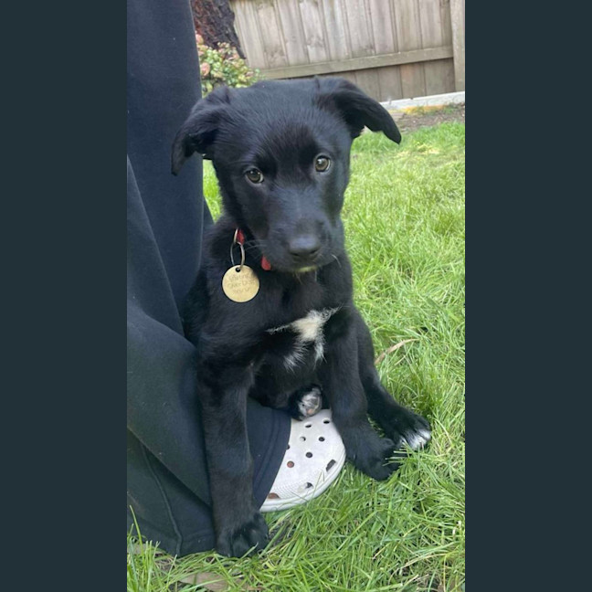 Photo of Naturaliste