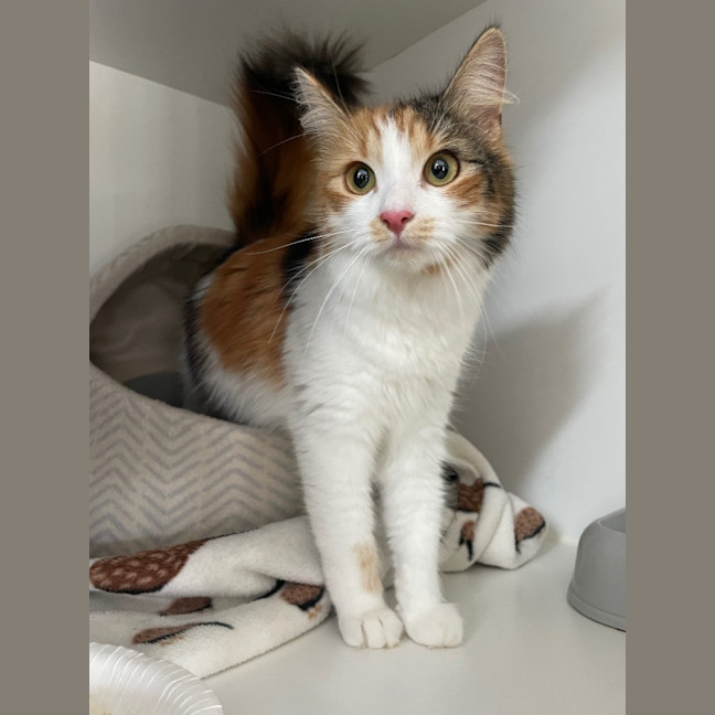 Photo of Dorothy