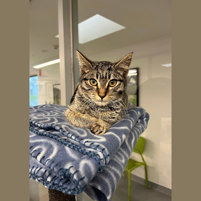 Photo of Winky