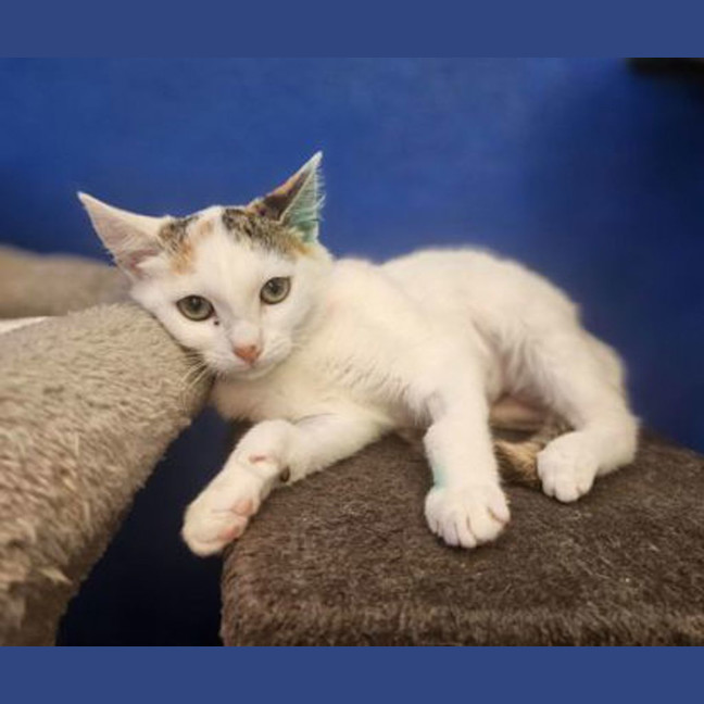 Photo of Kiki