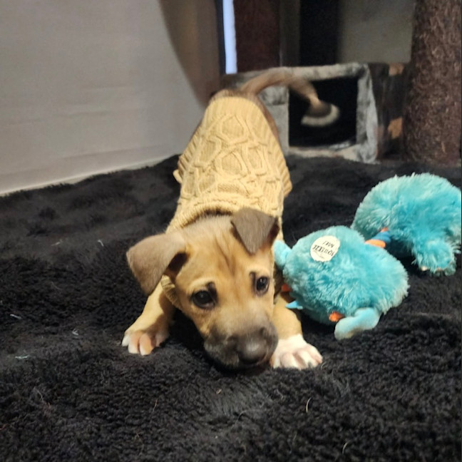 Photo of Reggie