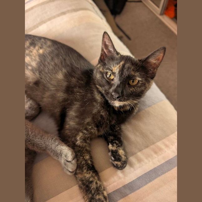 Photo of Willa