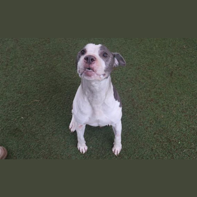 Photo of Walter