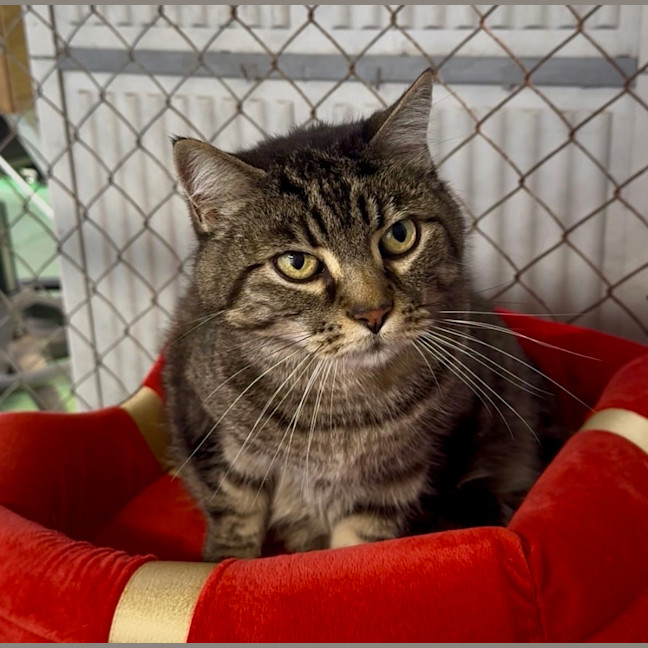 Photo of Jasper