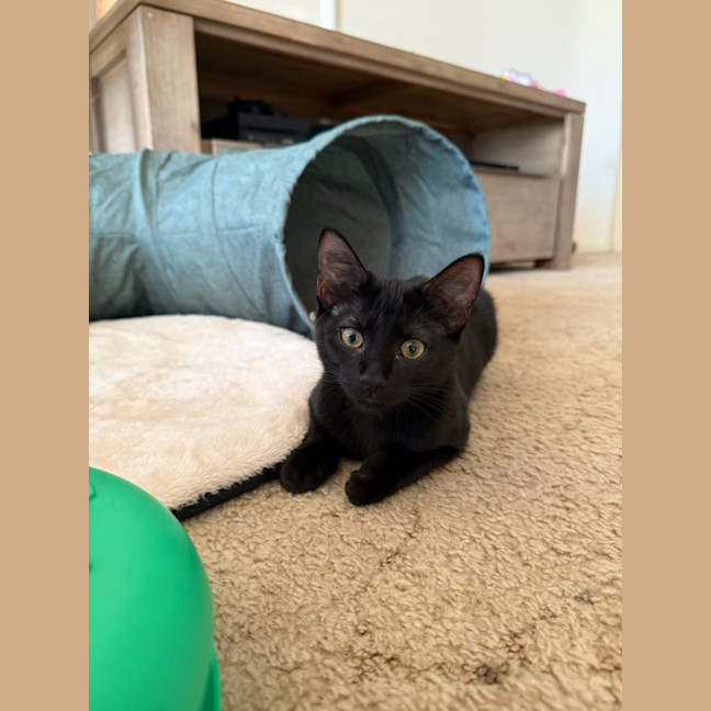 Photo of Eve & Coalette