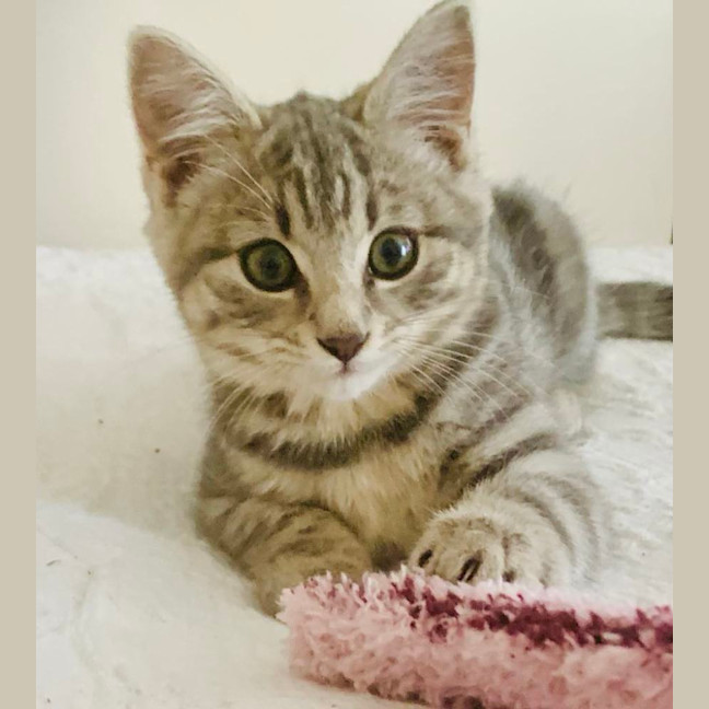 Photo of Eddie & Dot