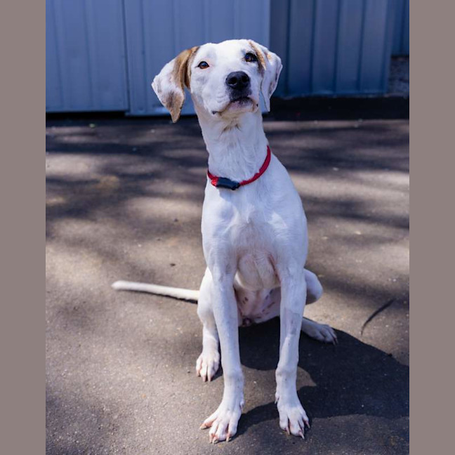 Photo of Kindred