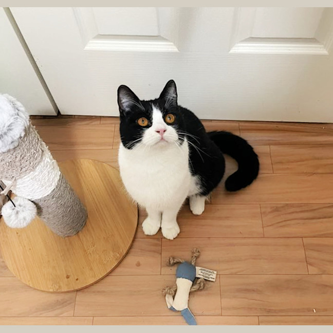 Photo of 🍀Blanaid🍀