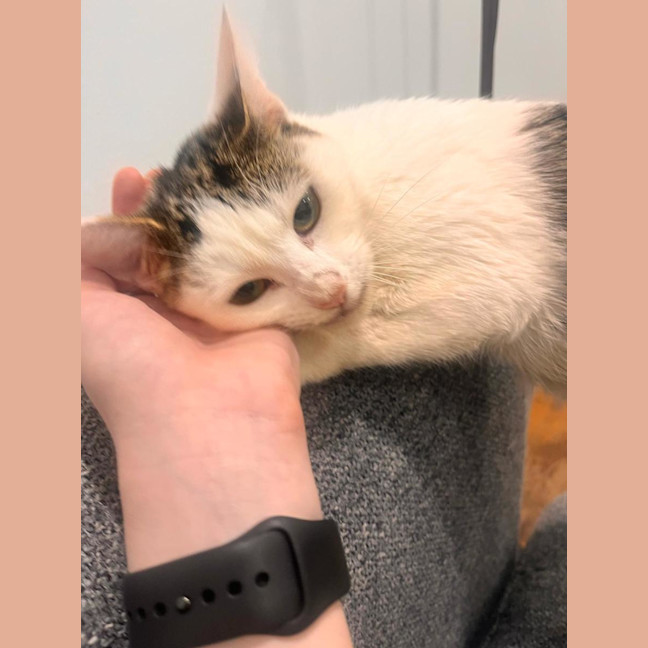 Photo of Winnie