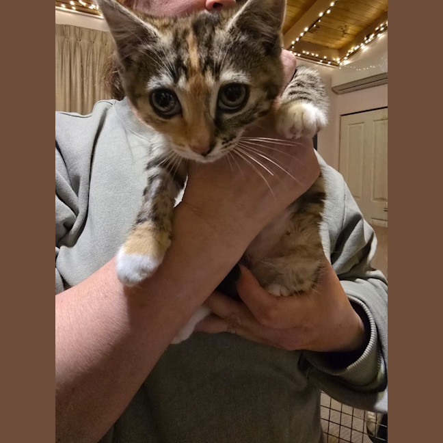 Photo of Enid Addams