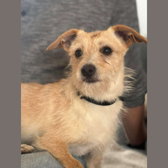 Photo of Baklava & Eclair 